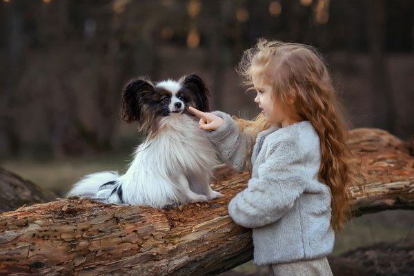 Où découvrir les meilleurs sanctuaires de papillons et leur conservation en Costa Rica?